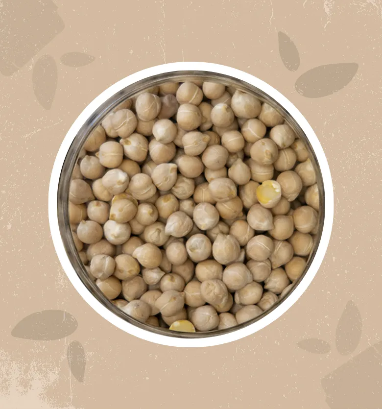 Ceci bio (100g)