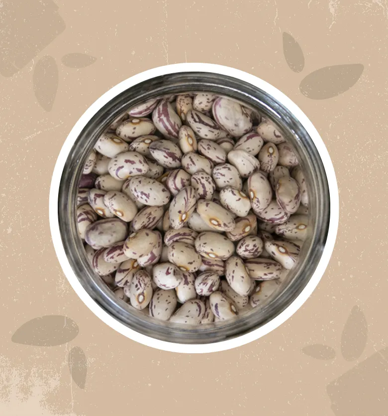 Fagioli borlotti bio