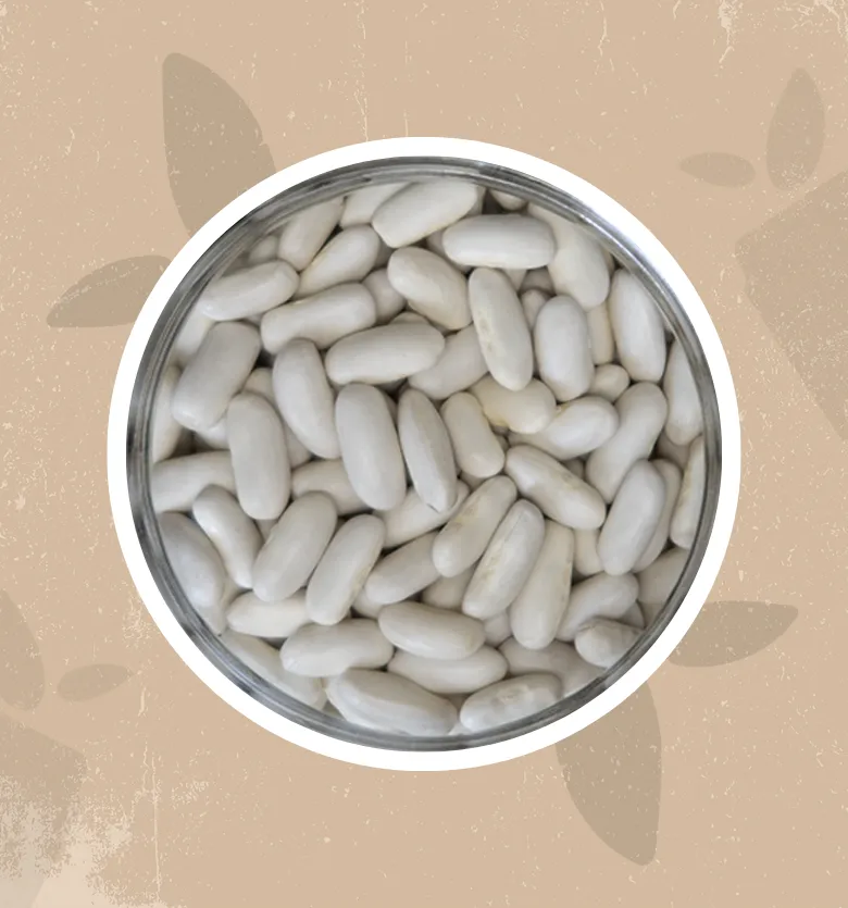 Fagioli cannellini bio