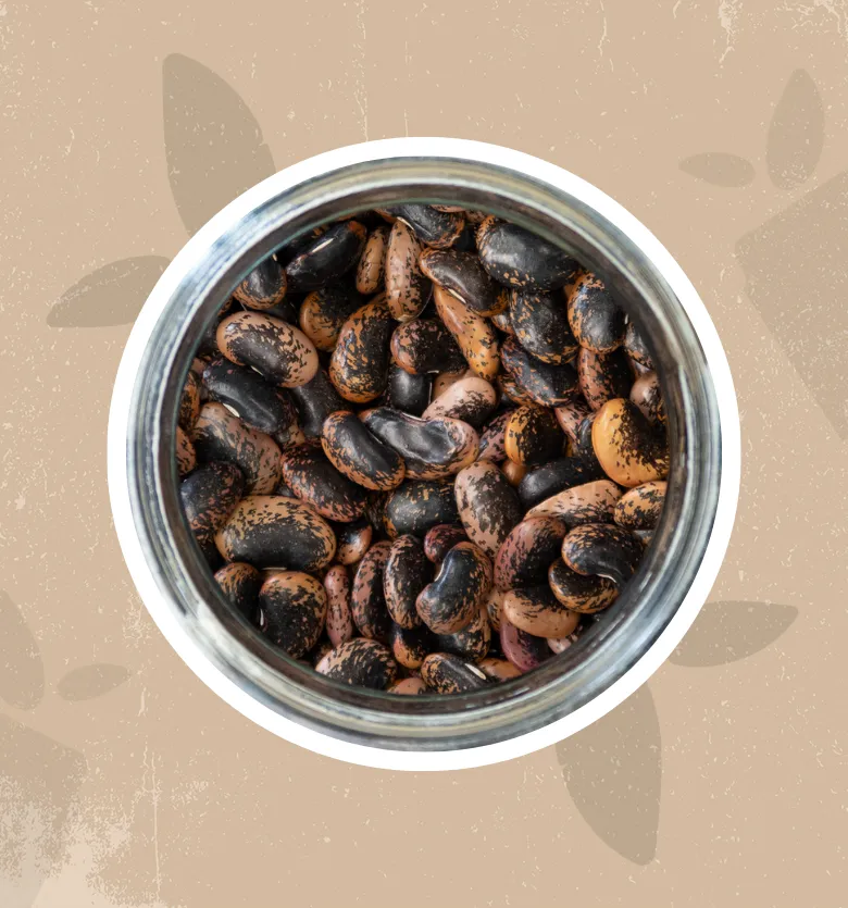 Fagioli Diavoli bio (100g)