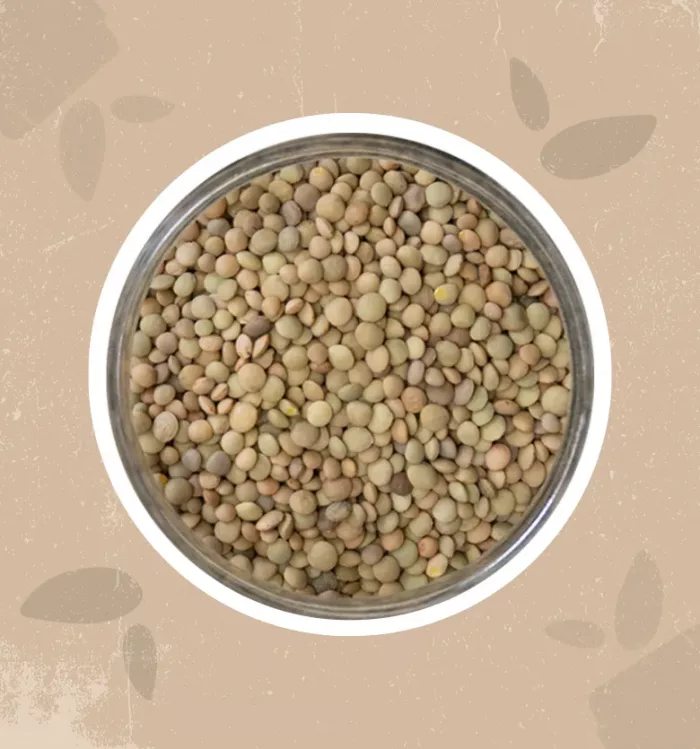 Lenticchie variegate bio