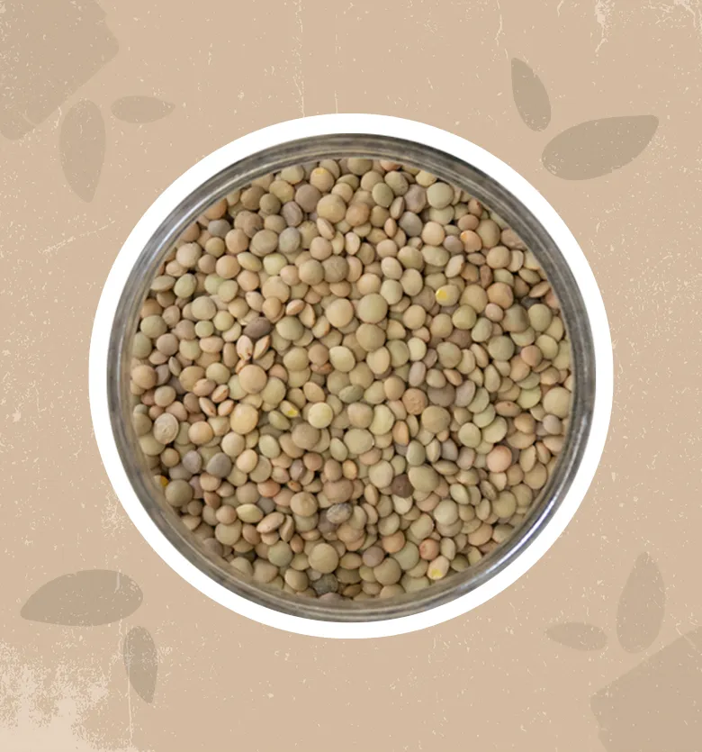 Lenticchie variegate bio