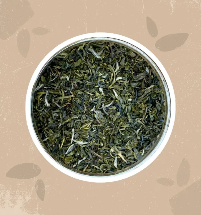 Tè verde Jasmine bio