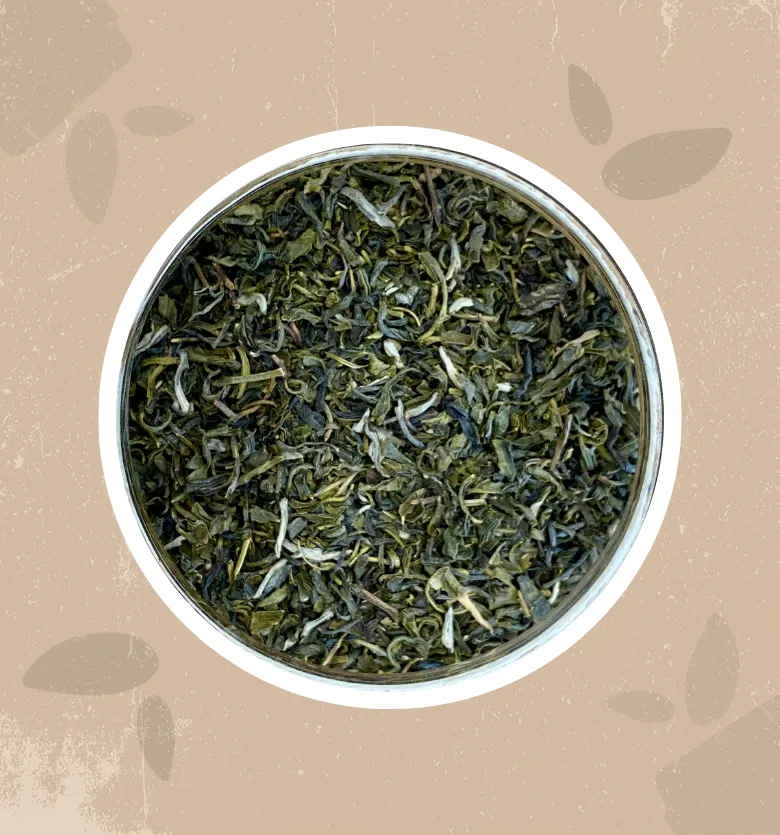 Tè verde Jasmine bio
