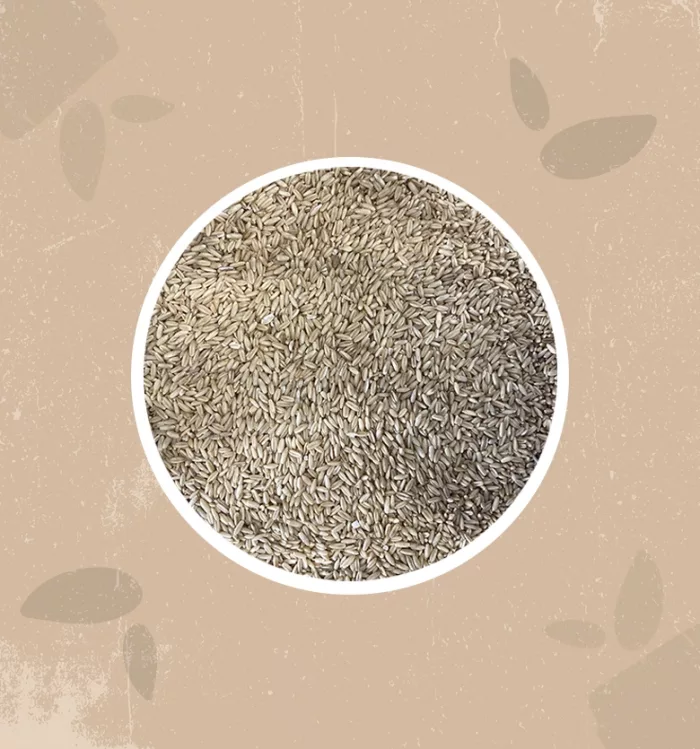 Avena decorticata bio