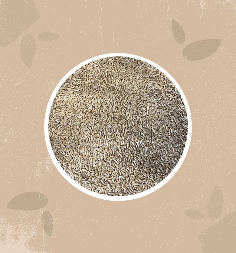 Avena decorticata bio