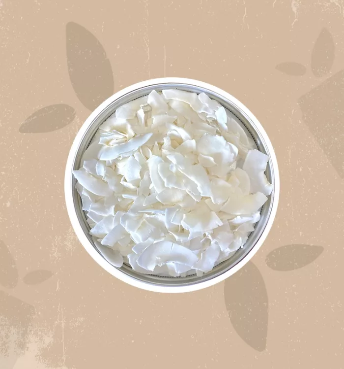 Cocco essiccato in chips