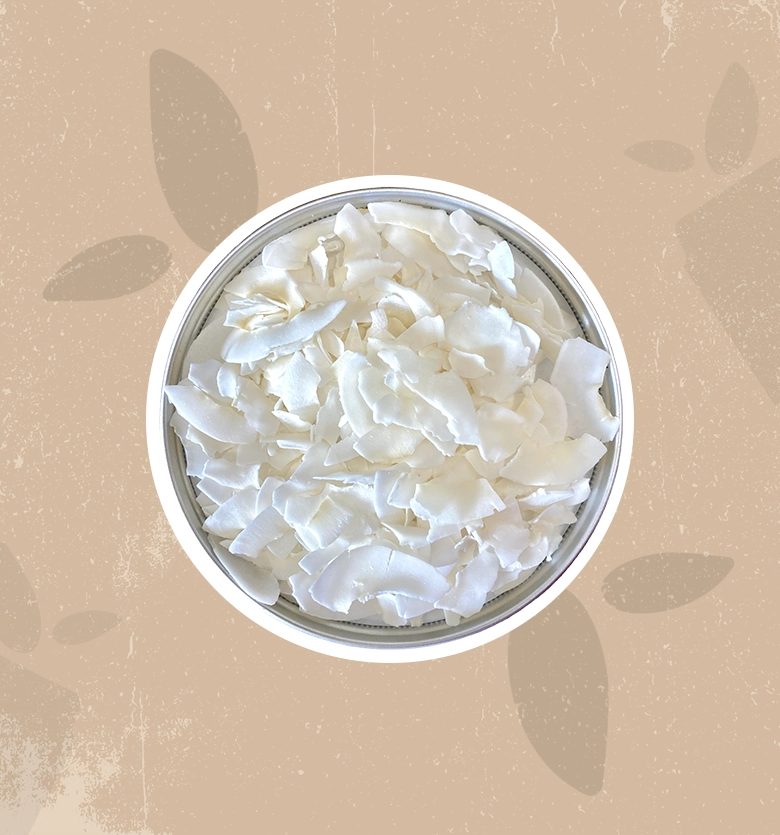 Cocco essiccato in chips
