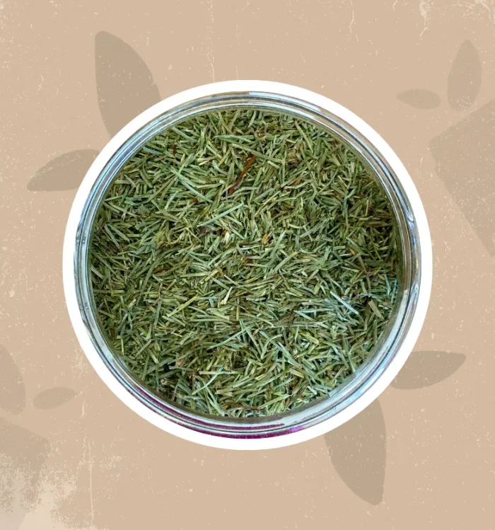 Equiseto bio
