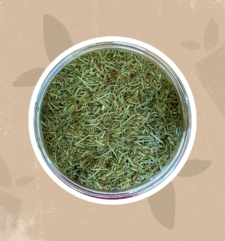 Equiseto bio