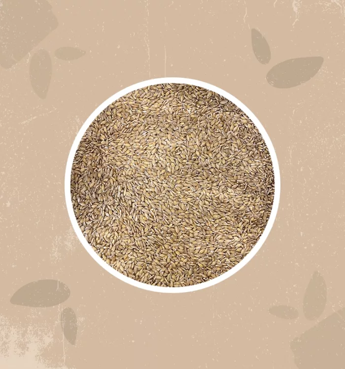 Farro Monococco bio