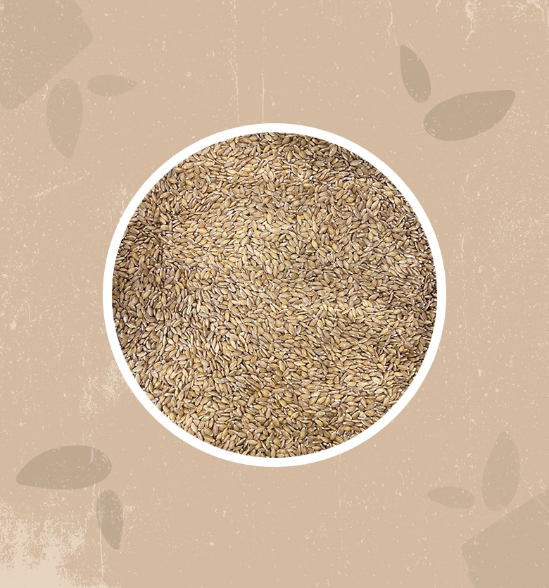 Farro Monococco bio