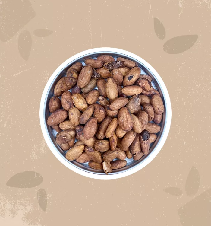 Fave di cacao criollo