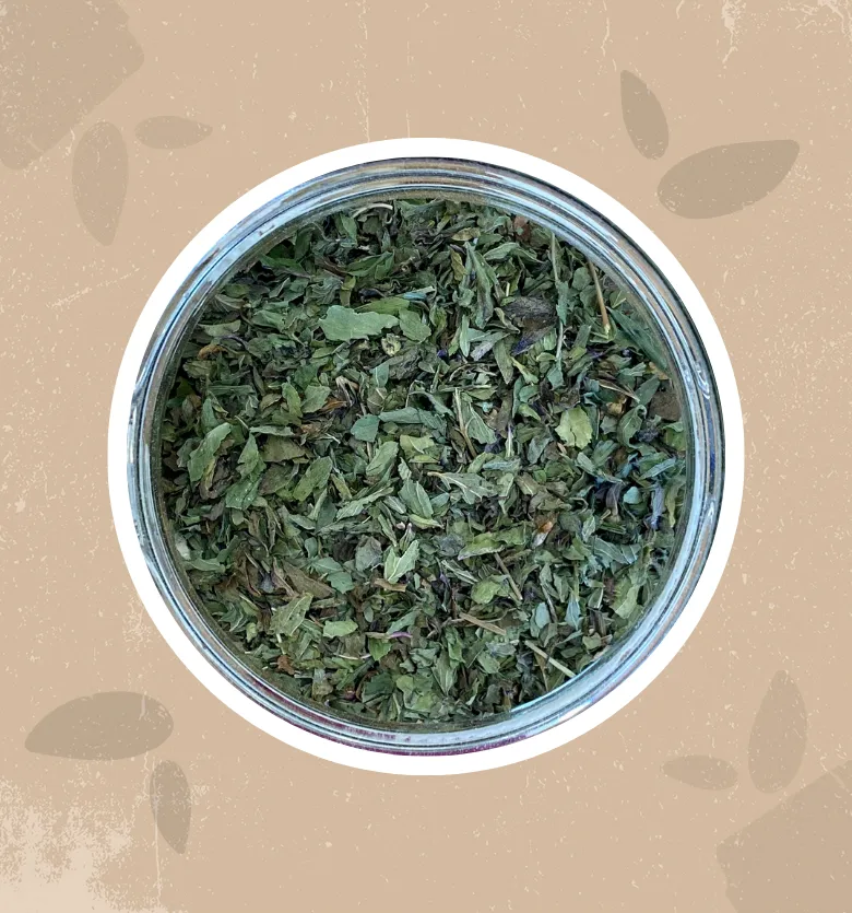 Menta Piperita