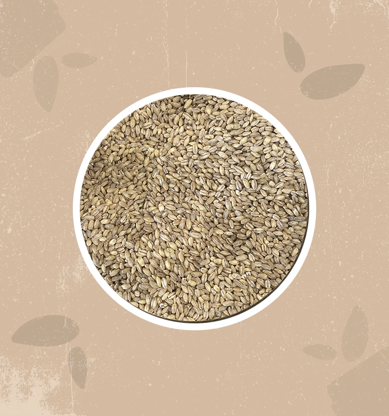 Orzo decorticato bio
