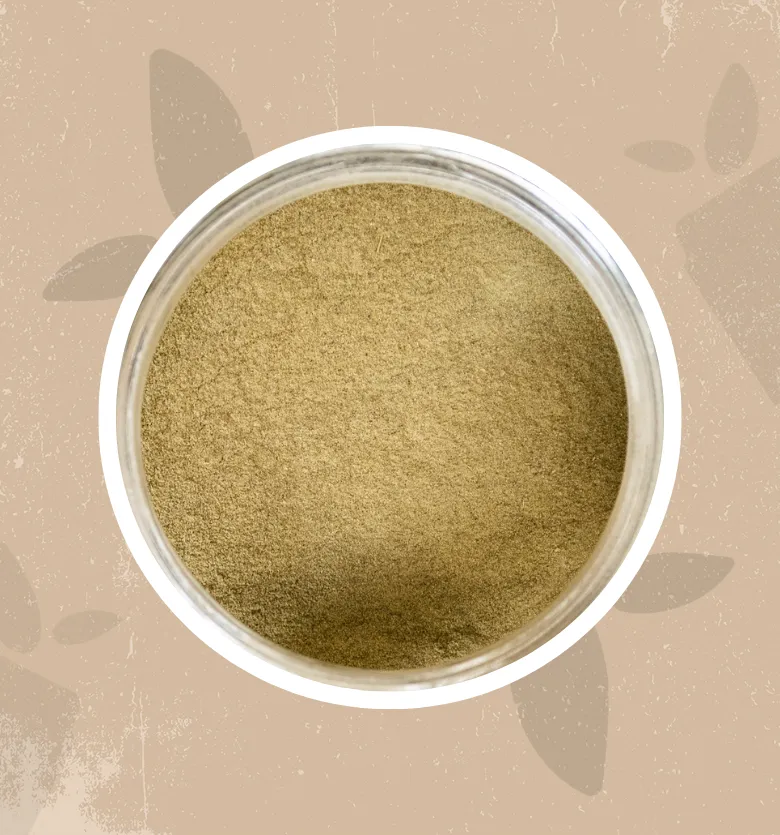 Rosmarino in polvere bio