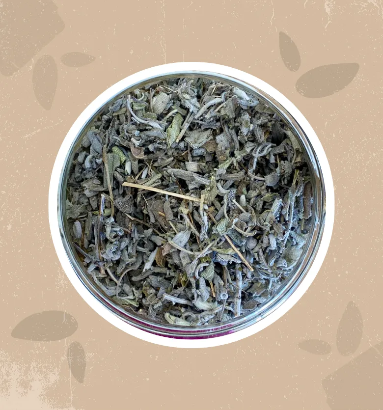 Salvia Bio