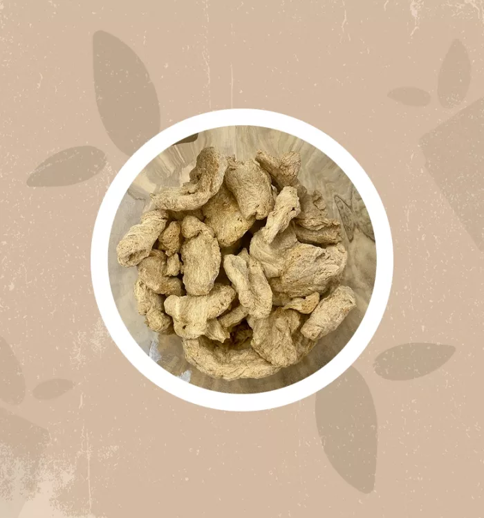 Bistecche di soia Bio