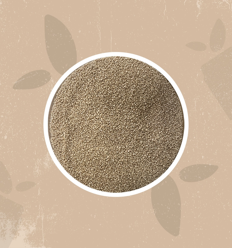 Cous cous di Farro integrale bio