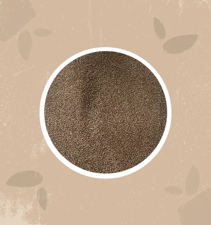 Cous cous di grano saraceno