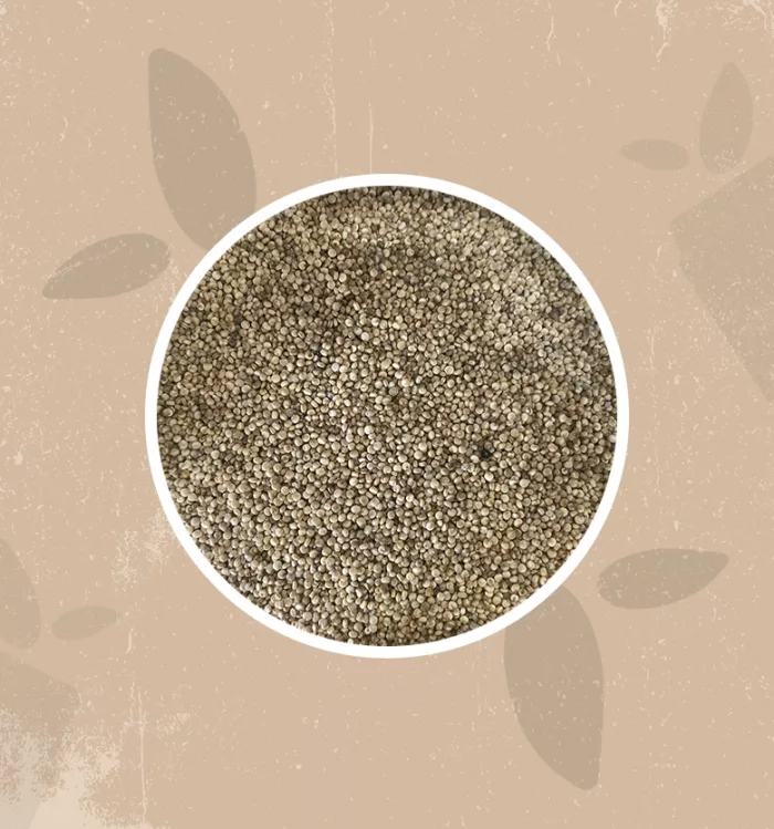Quinoa bianca bio
