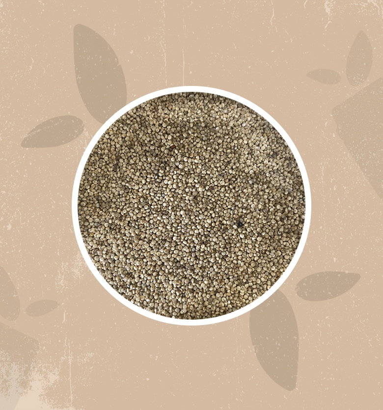Quinoa bianca bio